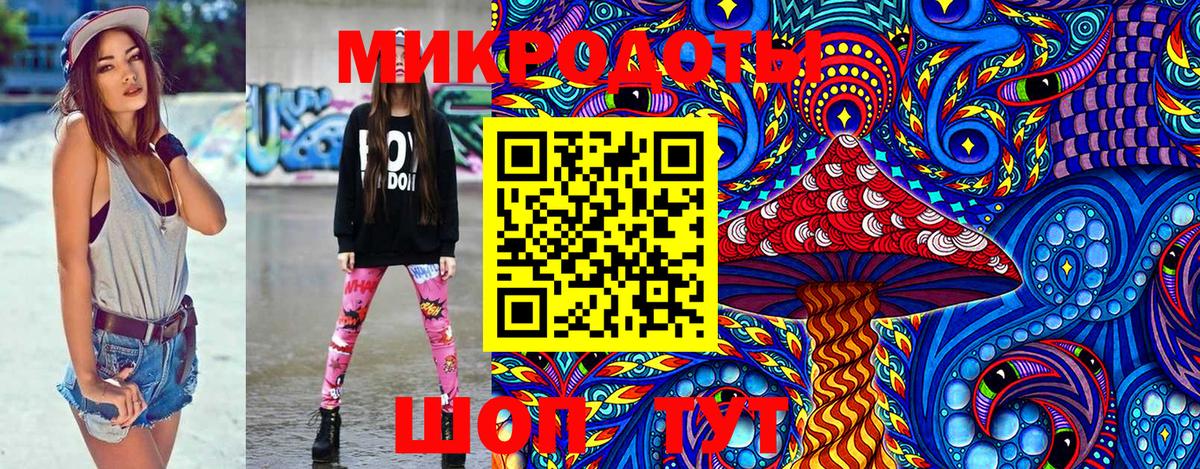Галлюциногенные грибы Psilocybine cubensis Пугачёв